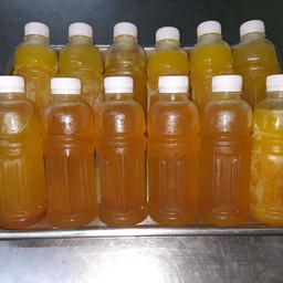 เก๊กฮวย