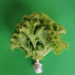 108ออแกนิก ปราจีนบุรี