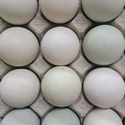 ไข่เป็ดต้ม