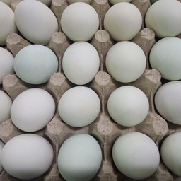 ไข่เค็ม