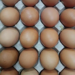 ไข่ไก่ต้ม