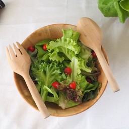 สลัดผักรวม Garden salad