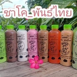 ชาโค พันธุ์ไทย