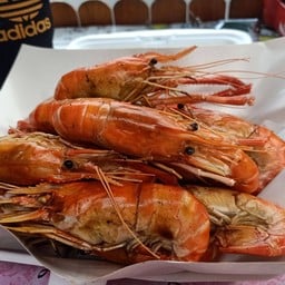 พลอยกุ้งใหญ่