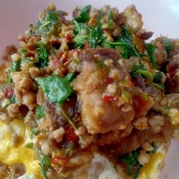 กระเพราหมูกรอบราดข้าว