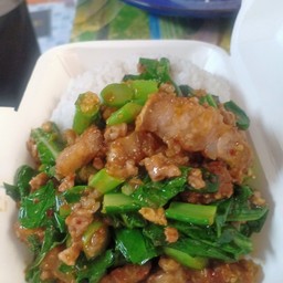 คะน้าหมูกรอบราดข้าว