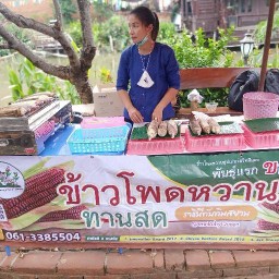 ข้าวโพดหวานแดง ตลาดน้ำอโยธยา