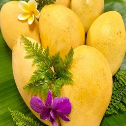 มะม่วง 1 ลูก(ไม่ปลอก) น้ำหนัก 350กรัม+