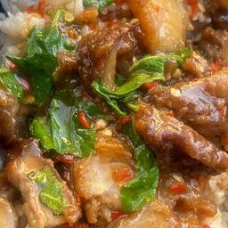 ข้าวราดผัดกะเพราหมูกรอบ