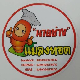 แมลงทอดนายช่าง