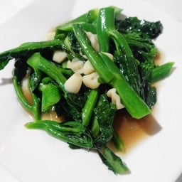 คะน้าฮ่องกงน้ำมันหอย