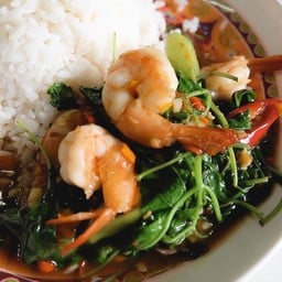 กะเพราราดข้าว