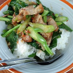 ร้านป้าตุ้ม ราชากะเพรา เทศบาลบ้านคลอง5 พิษณุโลก