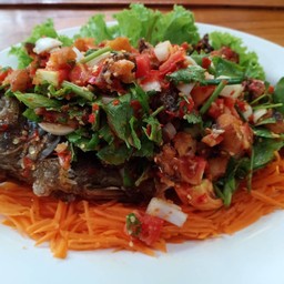 ยำปลานิลทอดกรอบ