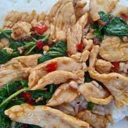 กะเพราไก่