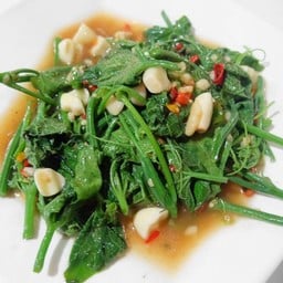 ยอดมะระไฟแดง