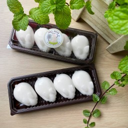 วุ้นกระต่าย Jelly’s Bunny