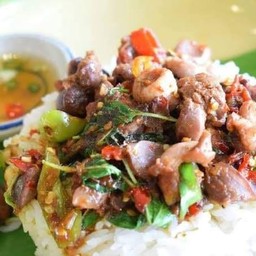 กระเพราเครื่องในราดข้าว