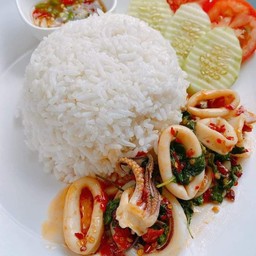 ผัดกระเพราปลาหมึกราดข้าว