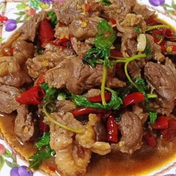 ผัดกระเพราเนื้อราดข้าว