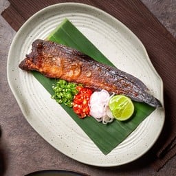 ปลาดุกร้าทรงเครื่อง