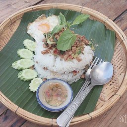 เป็นต่อราดหน้ากระเพราถาด