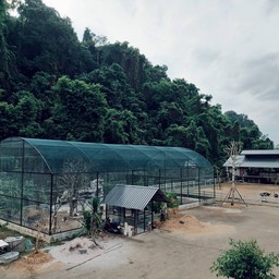 ลัดเลาะชานเมืองตรัง ชมฟาร์มเลี้ยงสัตว์สุด cool + ที่สุดกาแฟ