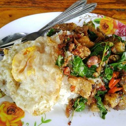 กระเพราหมูกรอบราดข้าว+ไข่ดาว