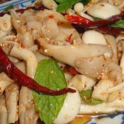 ลาบเห็ดมังฯ