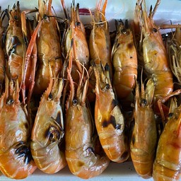 กุ้งเผา (กุ้งเป็น) M ชุด 1 โล