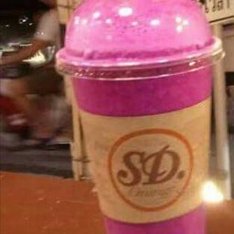 SD Orange สนามกีฬาเทศบาลนครเชียงใหม่