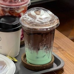 โกโก้มิ้นต์