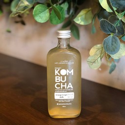 ชาหมัก คอมบูชา รสส้มขิง