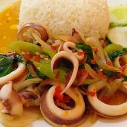 กระเพราปลาหมึกราดข้าว