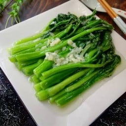 ผัดกับกวางตุ้ง