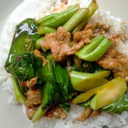 กระเพราไฉไล