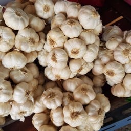 ครัวกะเพราซิ่ง