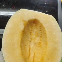 แคนตาลูป