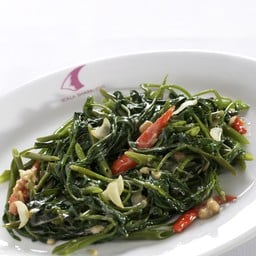 ผักบุ้งไฟแดง