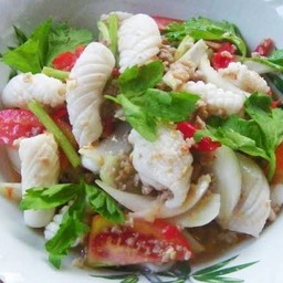 ยำหมึกสด Squid salad