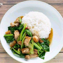 ข้าวราดคะน้าผัดน้ำมันหอย(พิเศษ)