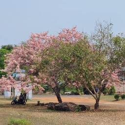 อนุสาวรีย์เราสู้