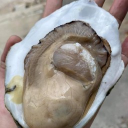 ครัวรวยรวย