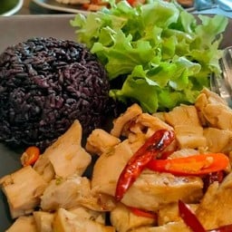 ข้าวไรซ์เบอรี่อกไก่ผัดพริกสด