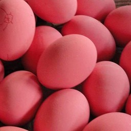 ไข่เยี่ยวม้า