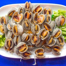 หอยแครงลวก