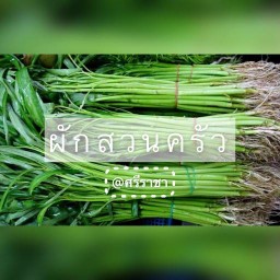 อาหารคลีน น้ำผักผลไม้สกัดเย็น 100% by กินดี เฮลตี้