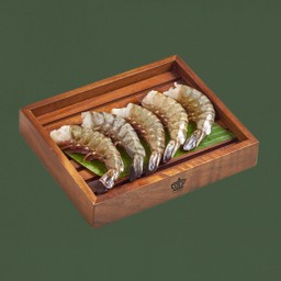 กุ้งลายเสือ 1  ตัว