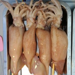 ปลาหมึกสดย่าง20บาท