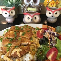 คัตสึด้งไก่-หมู -กุ้ง (เลือกประเภทเนื้อสัตว์ด้านในครับ)